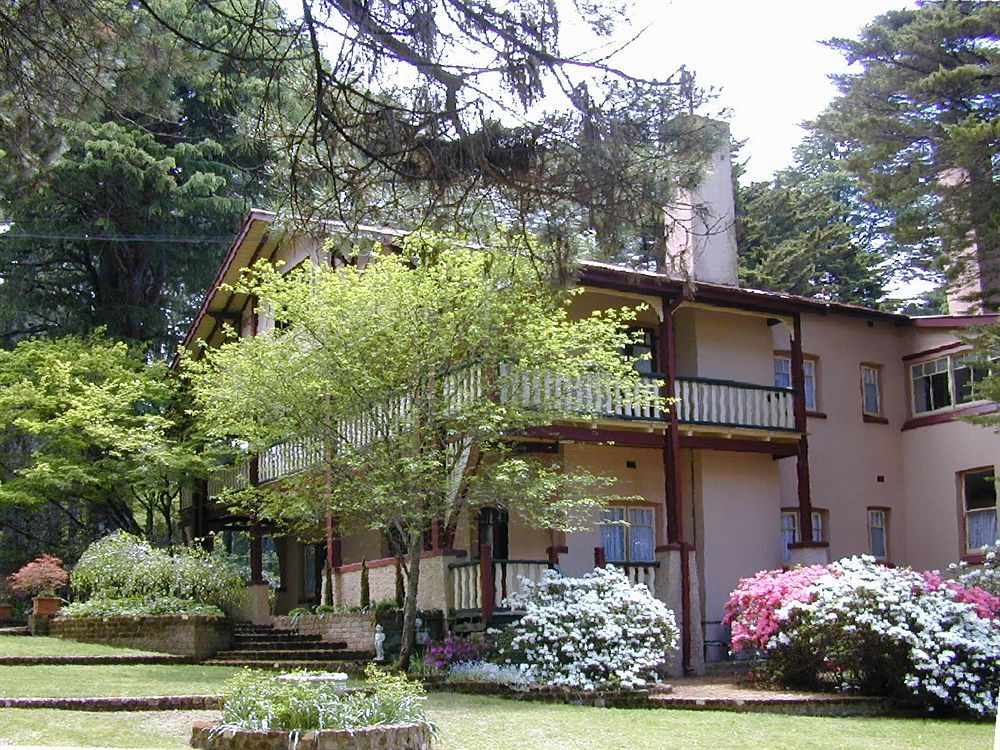 Whispering Pines Cottages Уентуърт Фолс Екстериор снимка